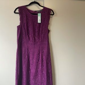 Brand new brixon ivy lace dress